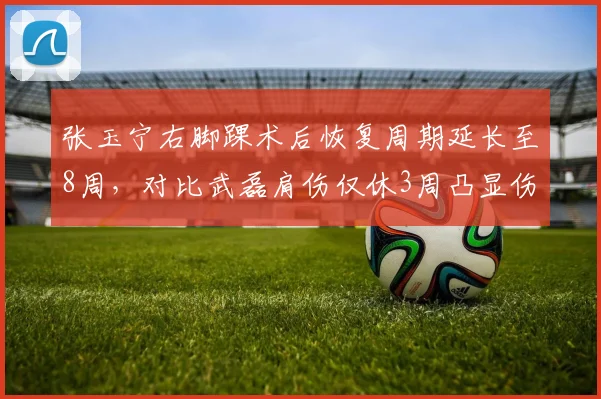 张玉宁右脚踝术后恢复周期延长至8周，对比武磊肩伤仅休3周凸显伤病管理差异